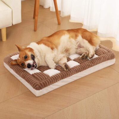 Modern orthopedic dog bed for large breeds