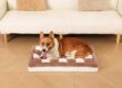 Modern orthopedic dog bed for large breeds