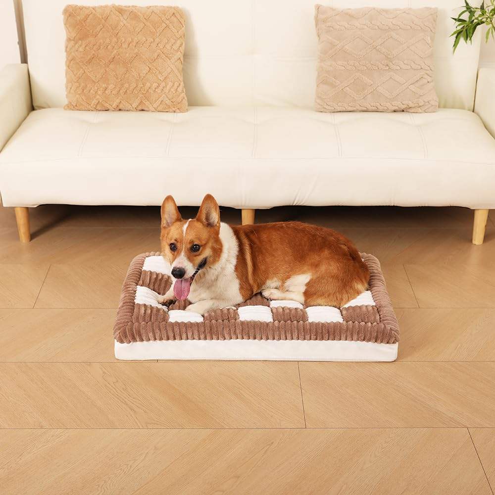 Modern orthopedic dog bed for large breeds
