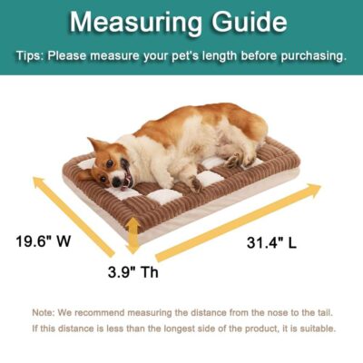 Modern orthopedic dog bed for large breeds