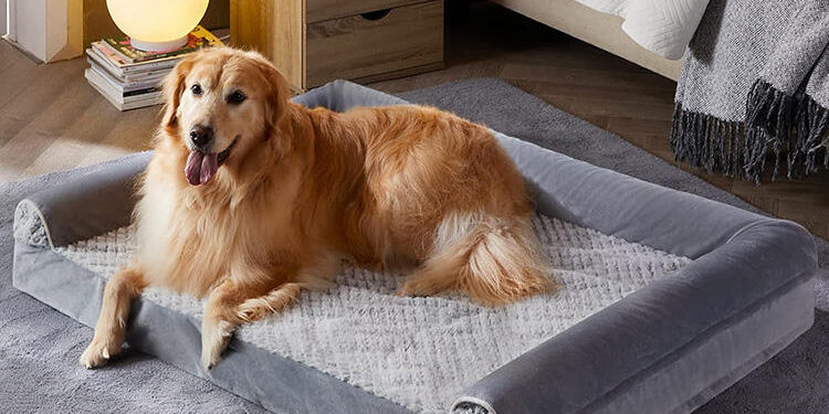 orthopedic dog bed with 3-side pillows