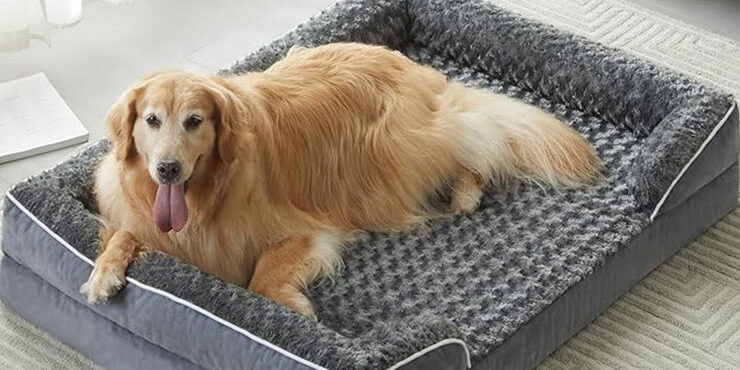 Luxury orthopedic plush dog sofa bed