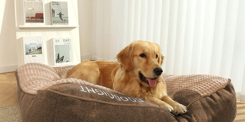 Thick orthopedic dog cushion bed