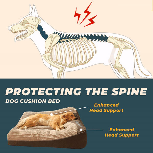 Thick orthopedic dog cushion bed