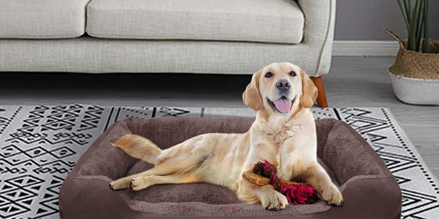Washable orthopedic dog bed