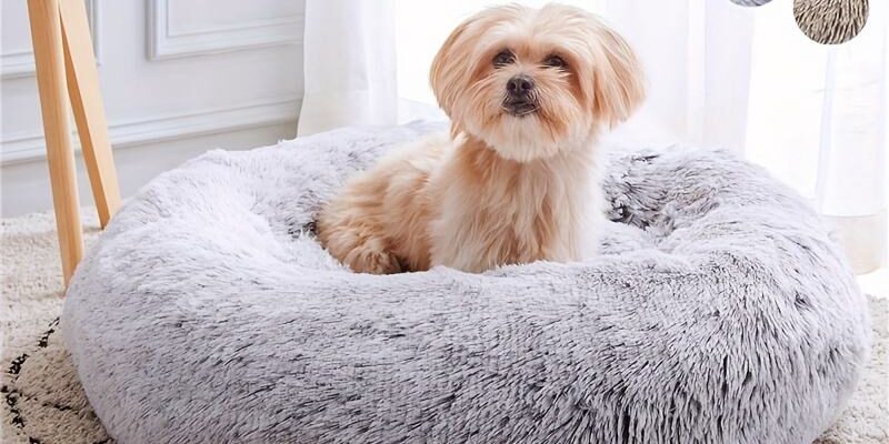 donut cuddler bed for dogs