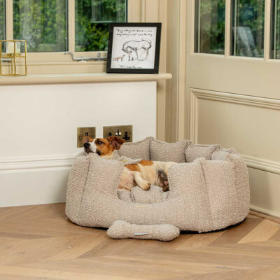 Premium boucle round bolster dog bed