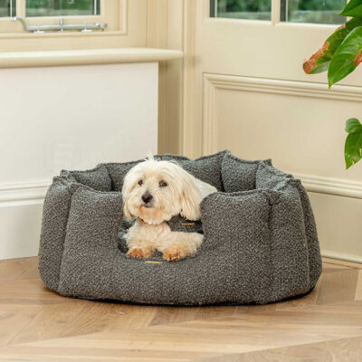 Premium boucle round bolster dog bed
