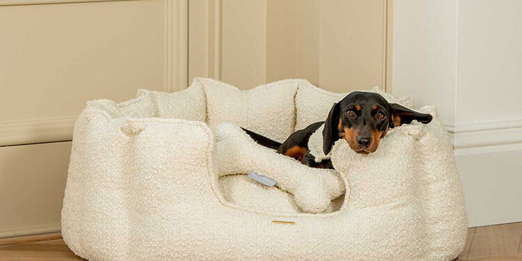Premium boucle round bolster dog bed