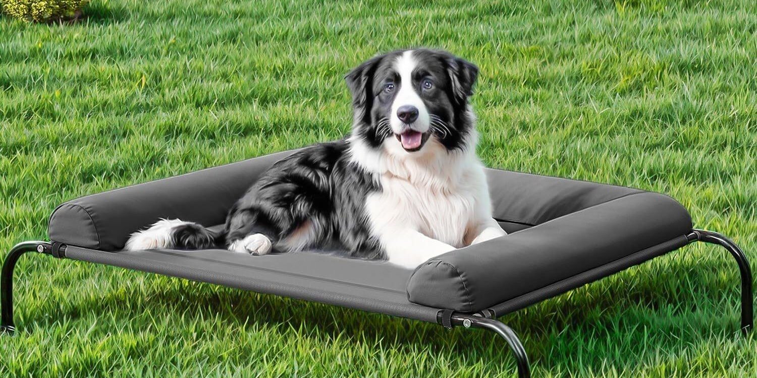 U shape elevated cooling dog cot
