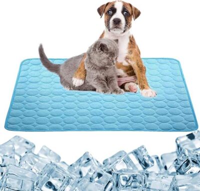 https://www.dog-bed-manufacturers.com/wp-admin/post-new.php?post_type=dt_portfolio