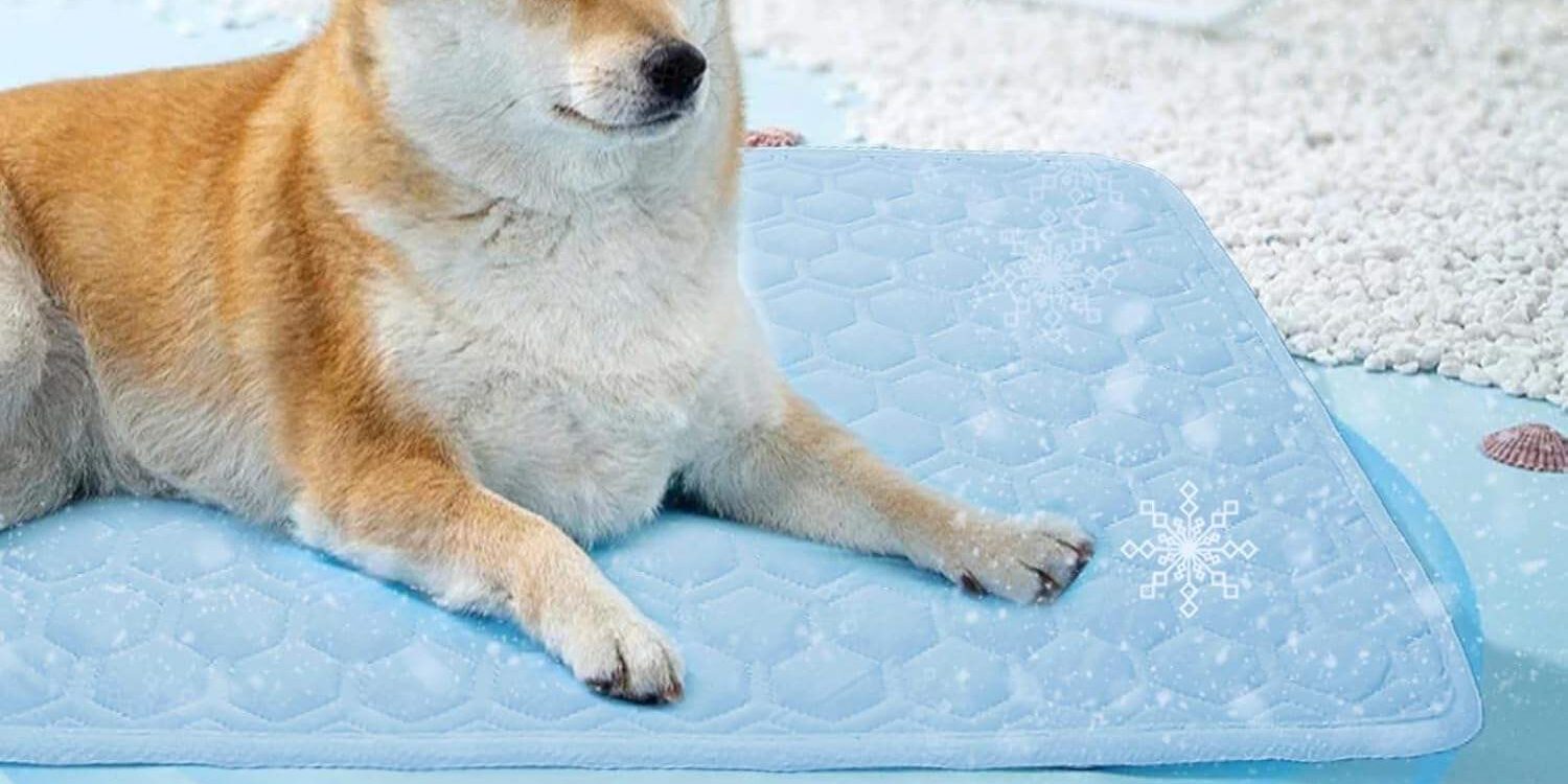 https://www.dog-bed-manufacturers.com/wp-admin/post-new.php?post_type=dt_portfolio