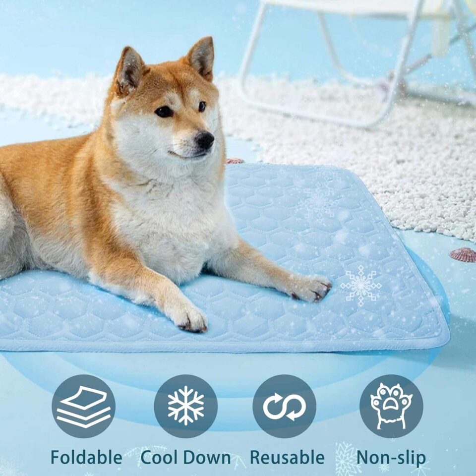 https://www.dog-bed-manufacturers.com/wp-admin/post-new.php?post_type=dt_portfolio