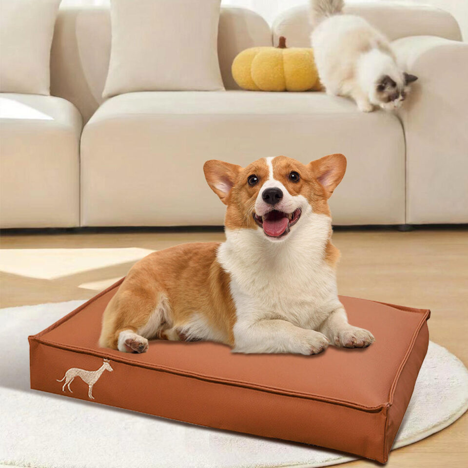 Waterproof foam dog sofa bed