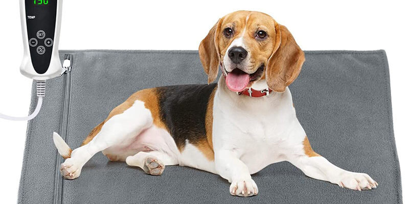 pet bed with chew resistant cord for dogs