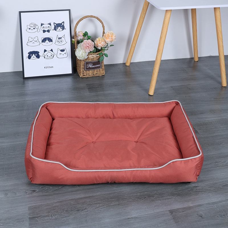 bolster dog bed with plush cushion