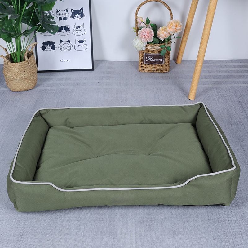 bolster dog bed with plush cushion