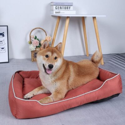 bolster dog bed with plush cushion