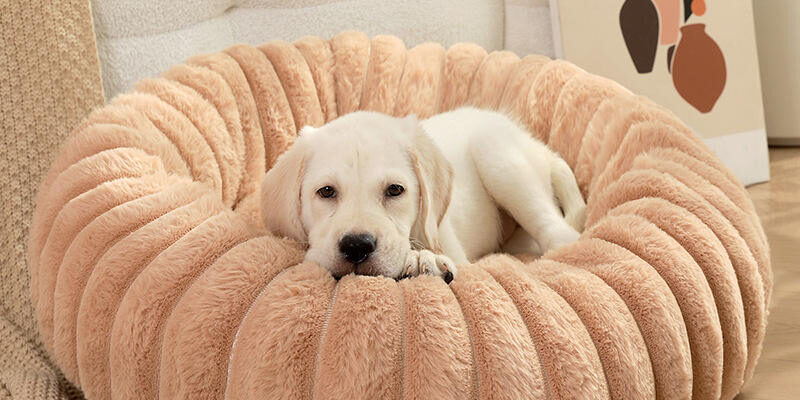 Wholesale fluffy donut pet bed