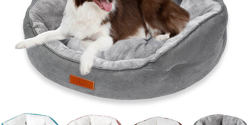 Luxury blue suede donut dog bed