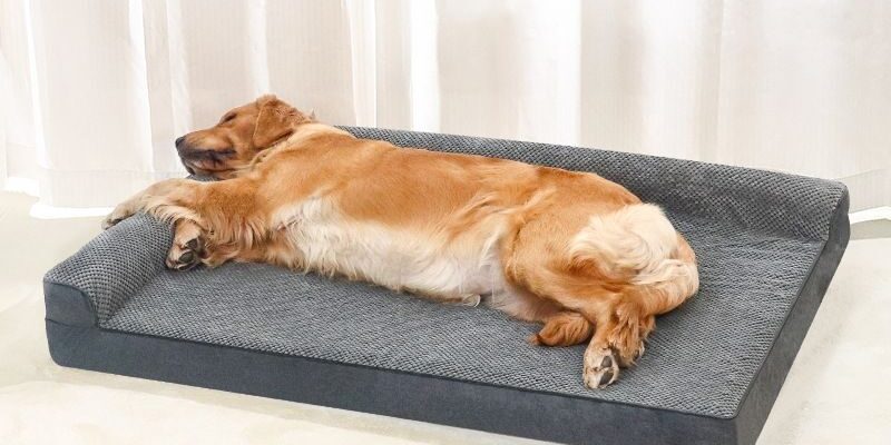 orthopedic cooling memory foam dog bed mat