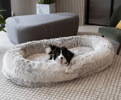 Human-sized orthopedic dog bed