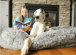 Human-sized orthopedic dog bed