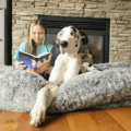 Human-sized orthopedic dog bed