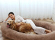 Luxury wholesale orthopedic dog bed