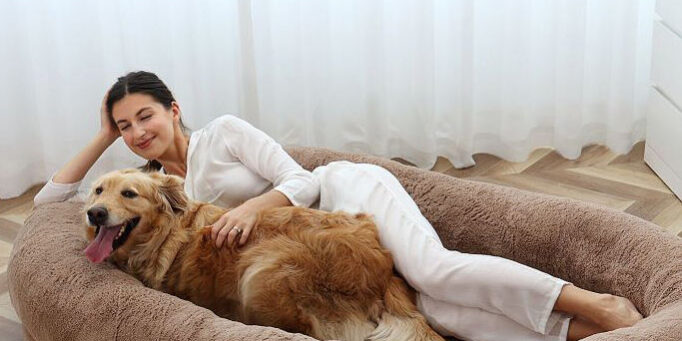 Luxury wholesale orthopedic dog bed