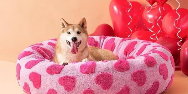 Calming orthopedic donut dog and cat bed