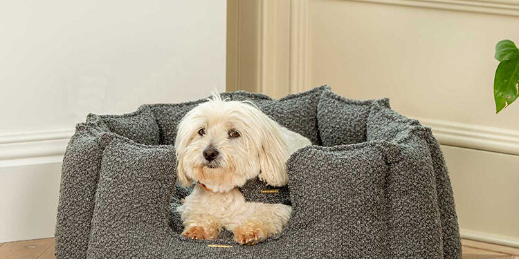 round bolster dog bed supplier