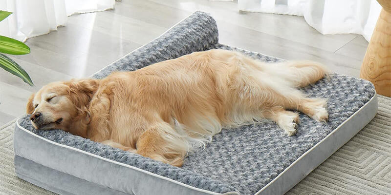 Chew-proof orthopedic dog bed