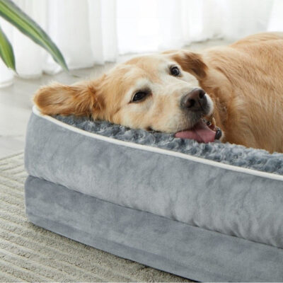 Chew-proof orthopedic dog bed