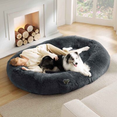 large orthopedic dog bean bag bed