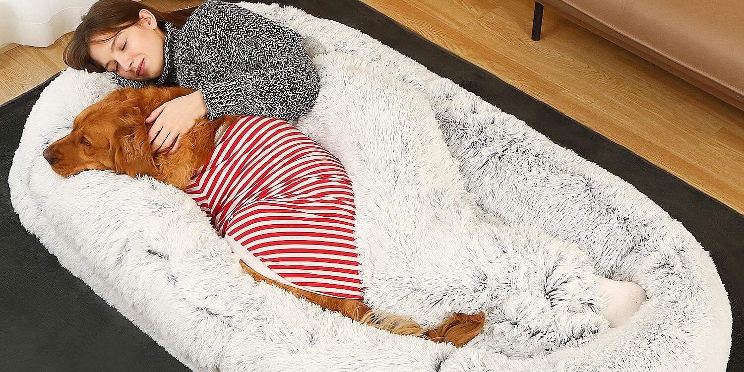 Faux fur orthopedic human dog bed