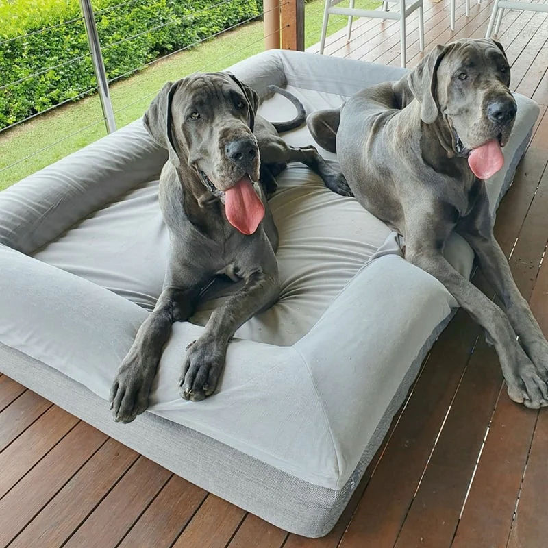 Custom orthopedic foam dog bed