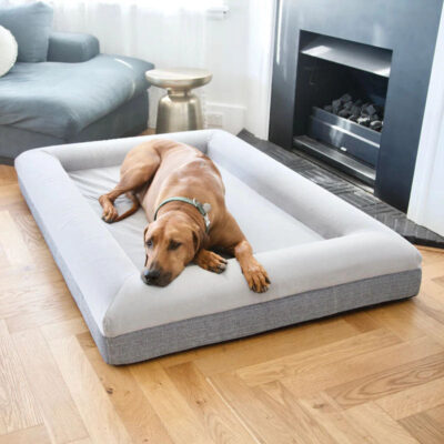 Custom orthopedic foam dog bed