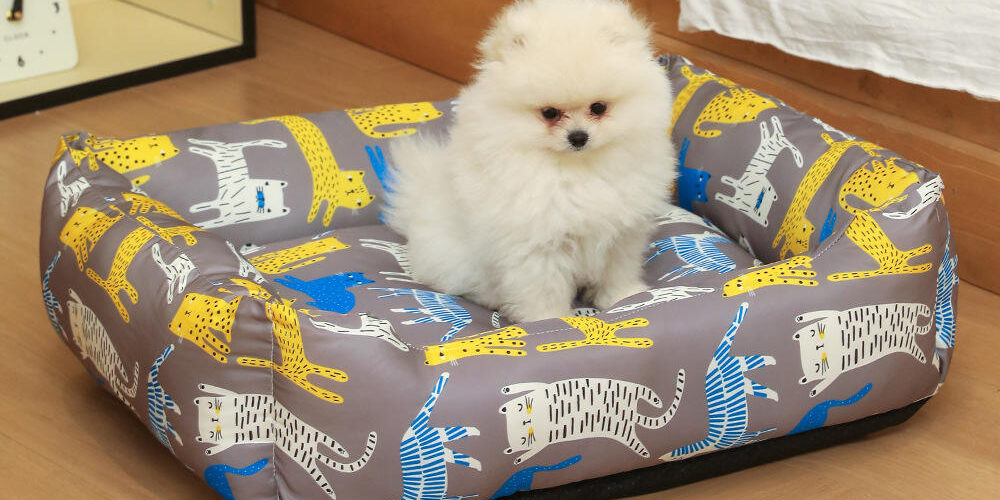 pet cushion for dogs and cats in summer