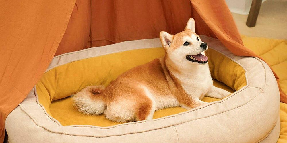 memory foam donut dog bed wholesale