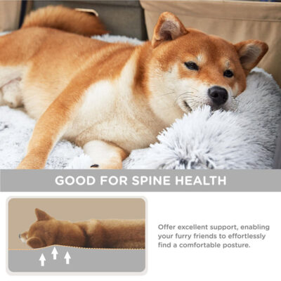 Custom luxury human dog bed