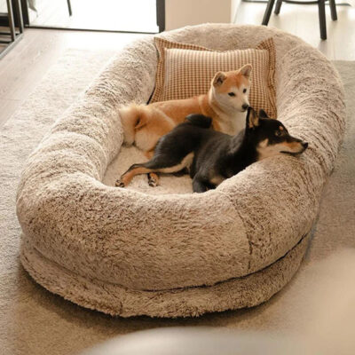 Custom luxury human dog bed
