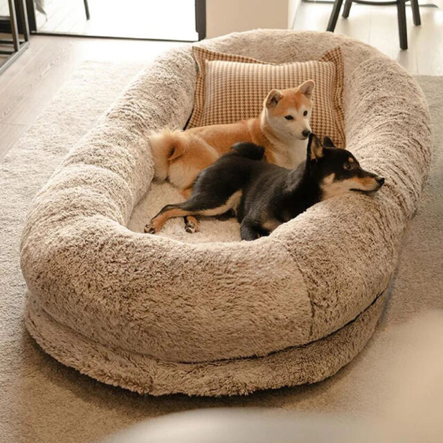 Custom luxury human dog bed