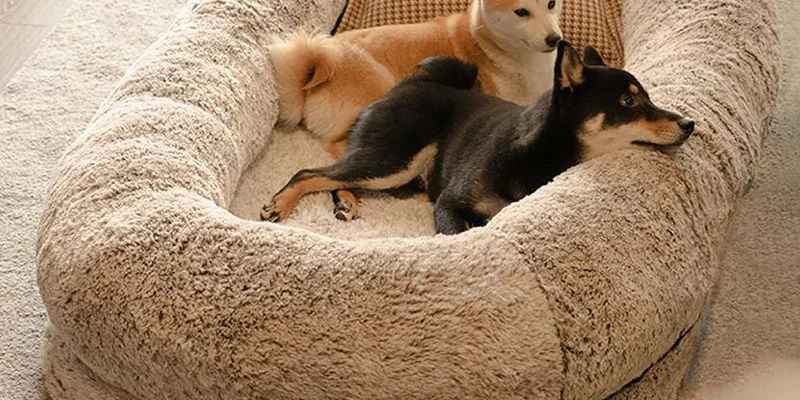 Custom luxury human dog bed