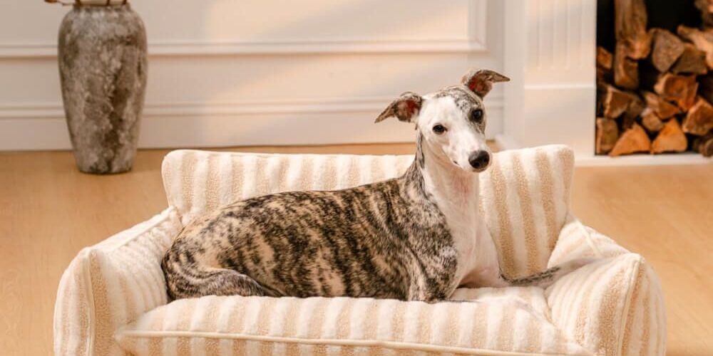 lambswool orthopedic dog sofa bed