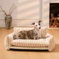 lambswool orthopedic dog sofa bed