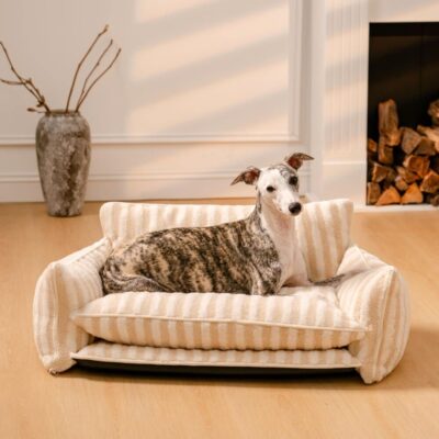 lambswool orthopedic dog sofa bed