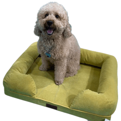 PETRA bolster dog bed with suede cover
