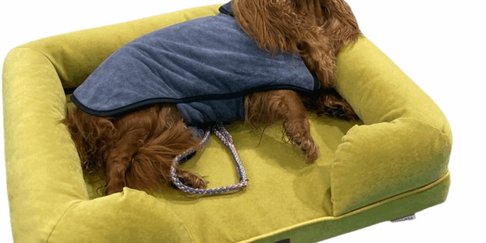 PETRA bolster dog bed with suede cover
