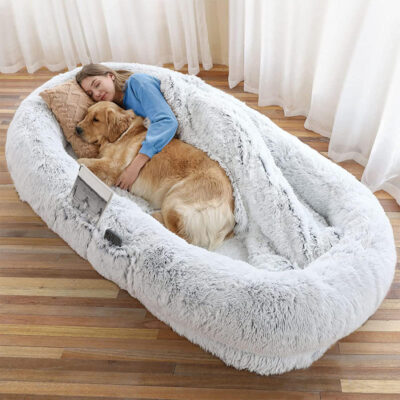 large orthopedic human dog bed